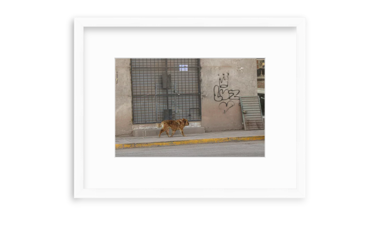 Dogs of Peru 8