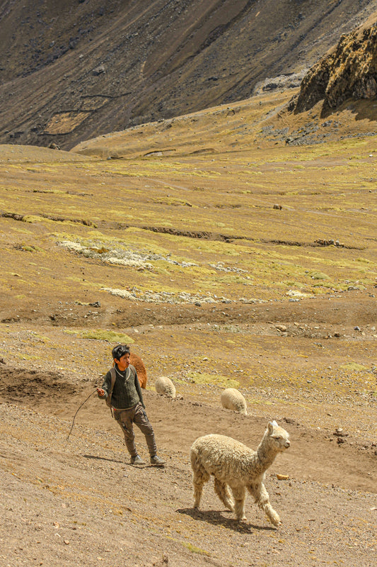 Peruvians of Vinicunca 8