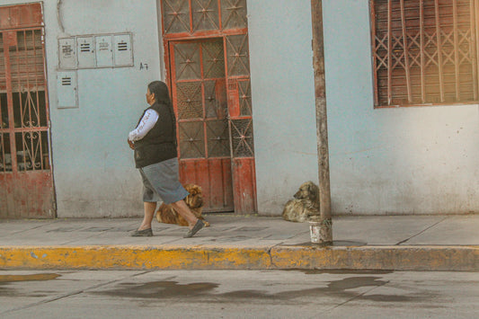 Dogs of Peru 4